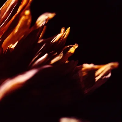 Abstract