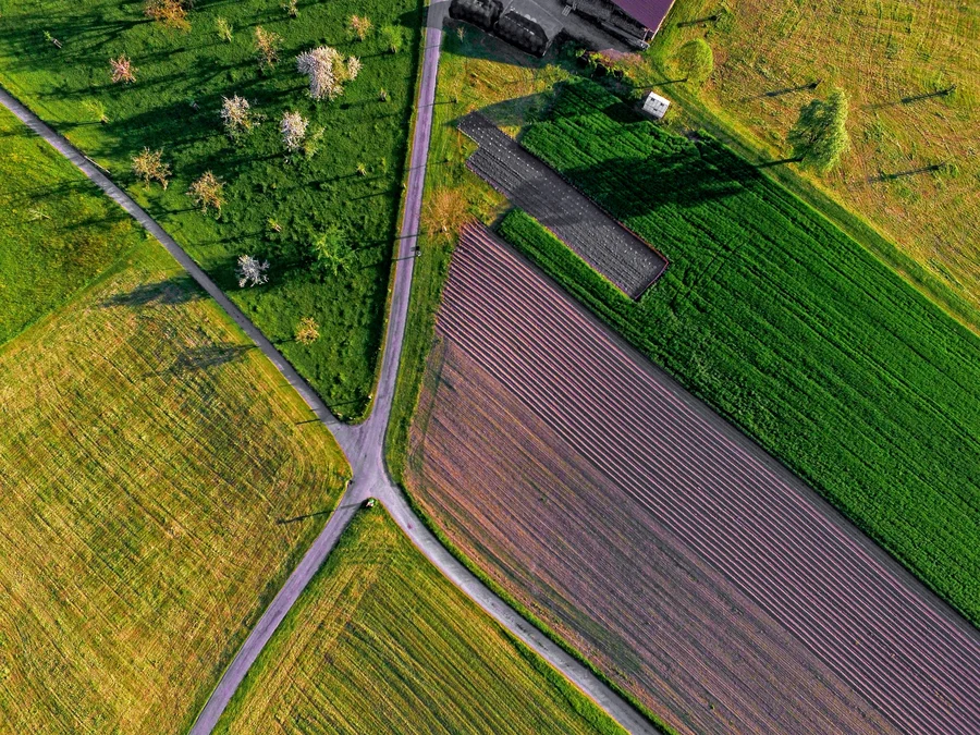 Natural Capital and New Innovation Strategies