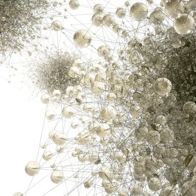 Embracing Complexity