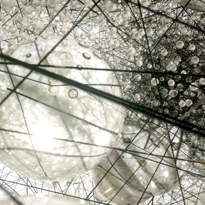 Embracing Complexity