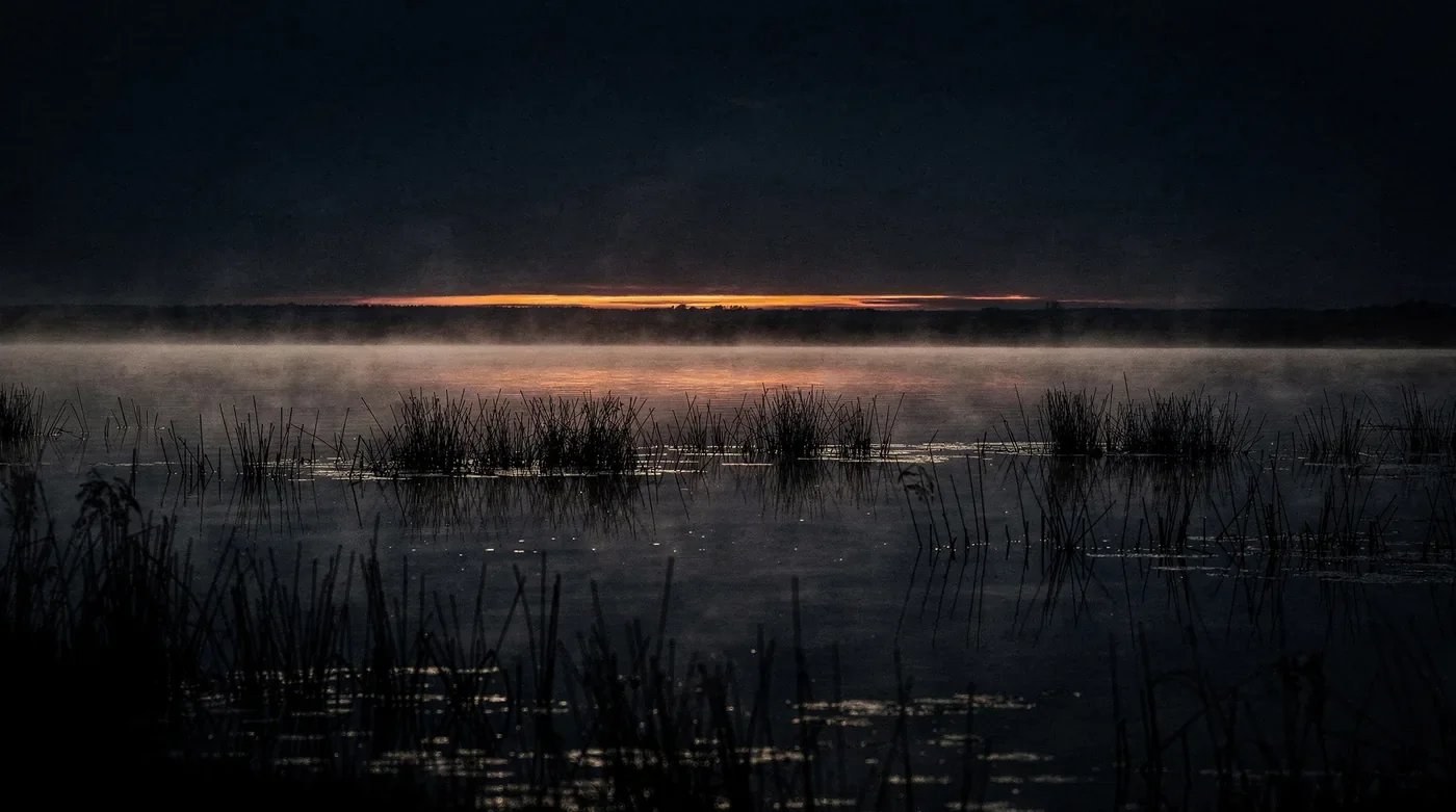 Misty wetland at dusk